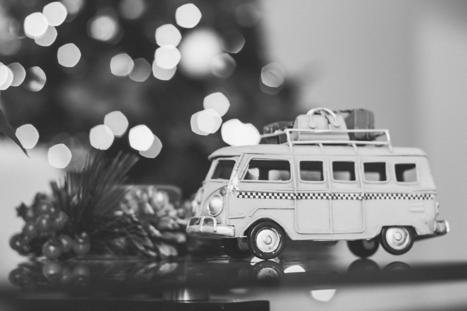 Career growth opportunities in theme park industry