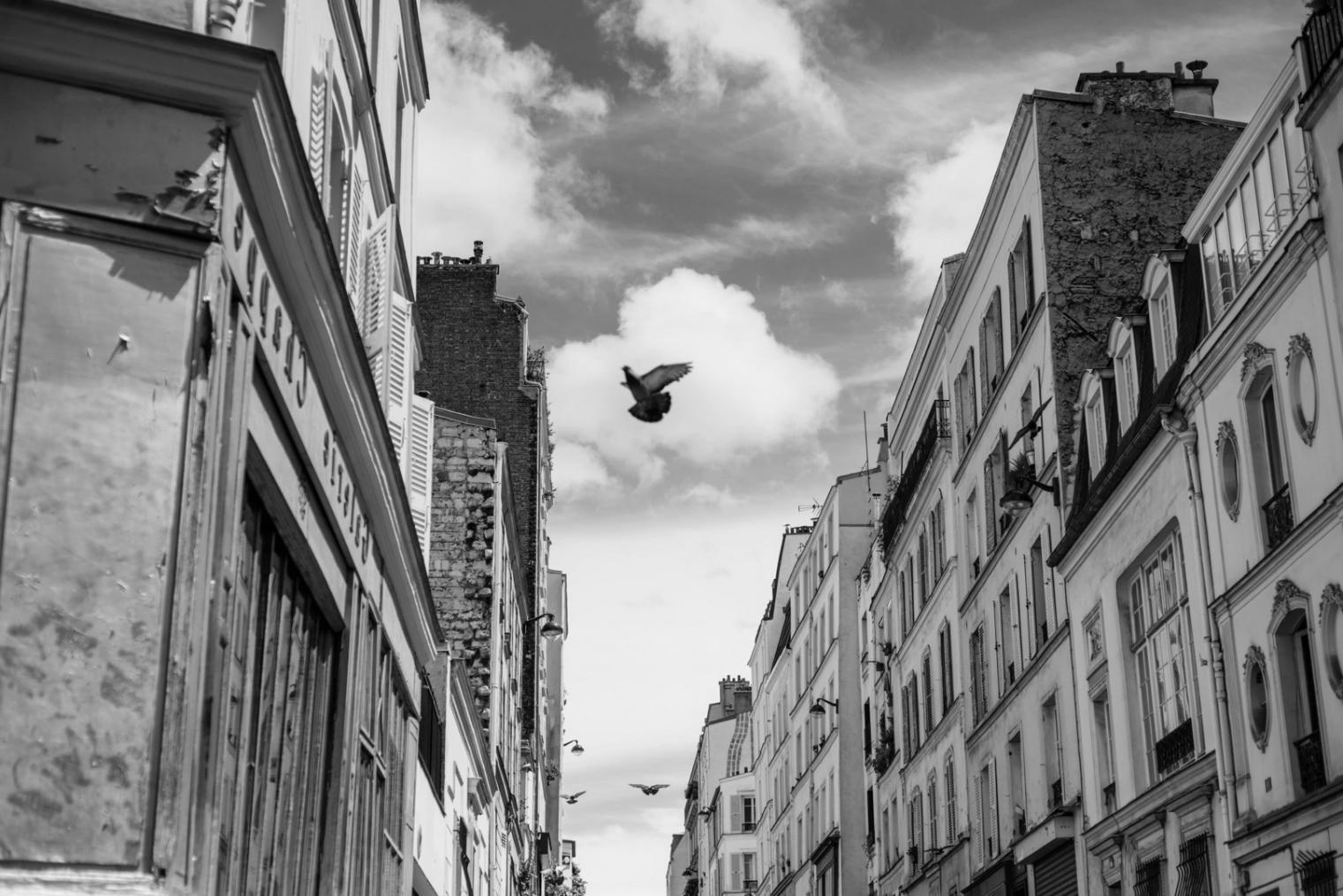 Professional development in entertainment venue settings